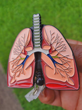 Load image into Gallery viewer, Lungs Badge For Pulmonology
