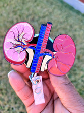 Load image into Gallery viewer, Anatomical Kidney Badge Reel
