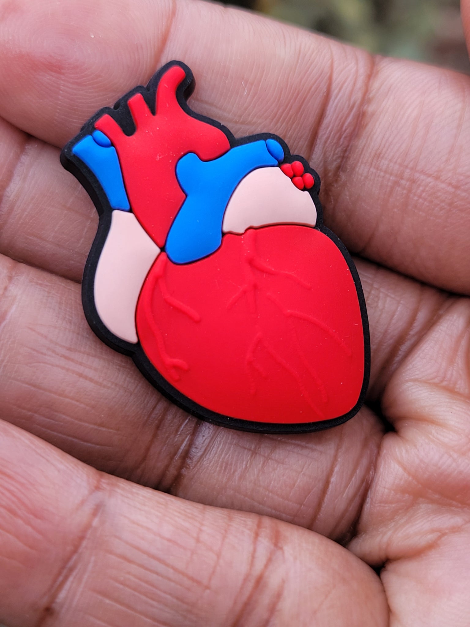 Anatomical Heart or Brain Croc Charms – Reflections By Zana