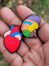 Load image into Gallery viewer, Anatomical Heart or Brain Croc Charms
