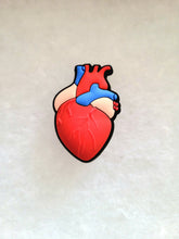 Load image into Gallery viewer, Anatomical Heart or Brain Croc Charms
